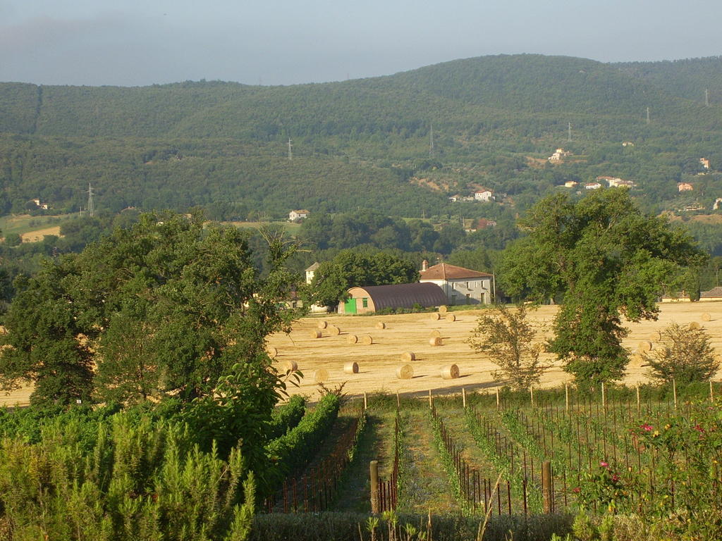 Agriturismo Regno Verde Нарни Экстерьер фото