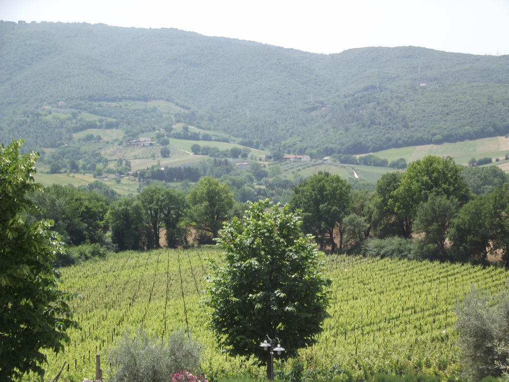 Agriturismo Regno Verde Нарни Экстерьер фото
